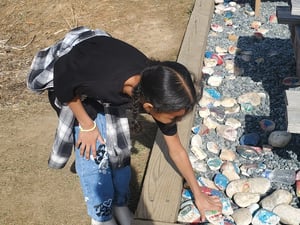 Outdoor Rocks